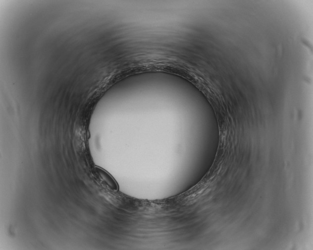 X0000099440772200805090747