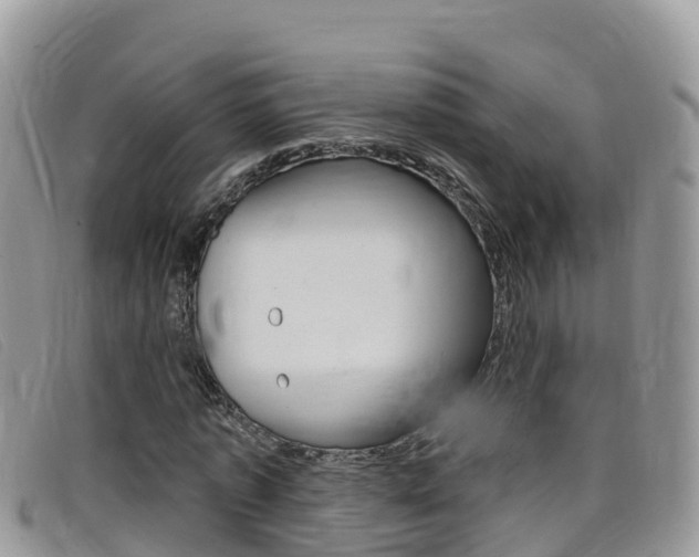 X0000099440773200805090747