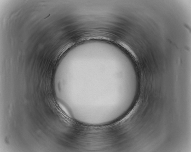 X0000099440777200805090747