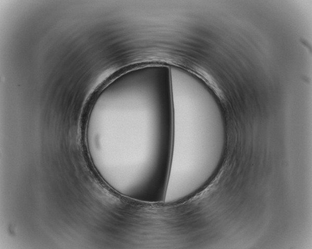 X0000099440780200805090747