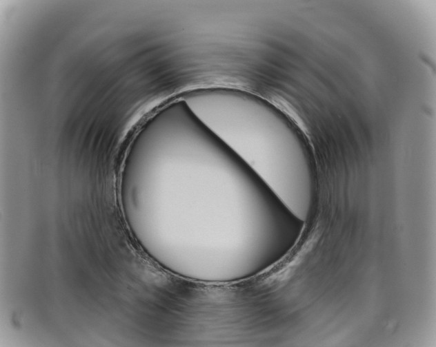 X0000099440781200805090747