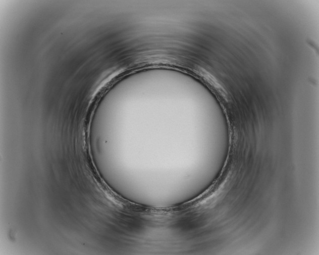 X0000099440782200805090747