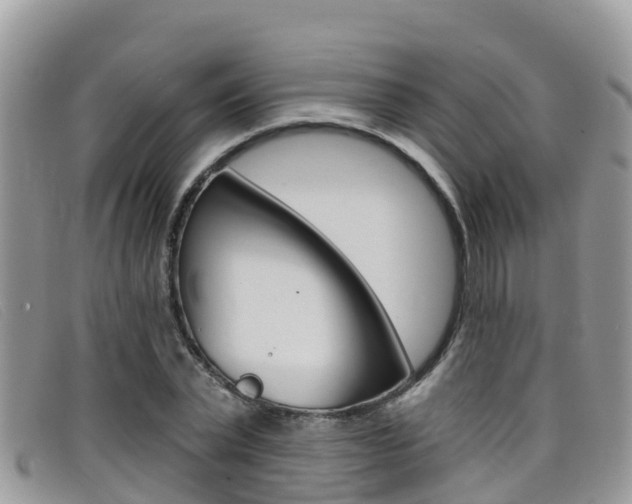X0000099440783200805090747