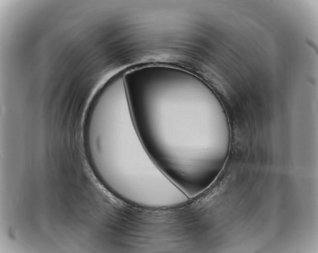 X0000099440784200805090747