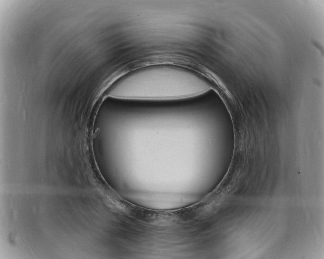 X0000099440786200805090747