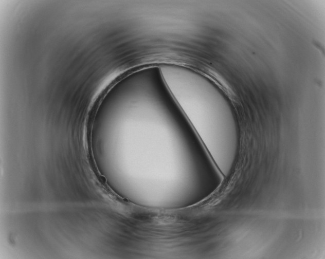 X0000099440788200805090747