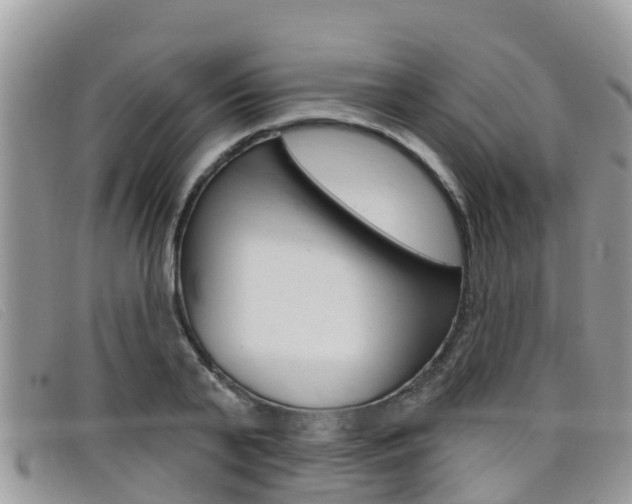 X0000099440791200805090747