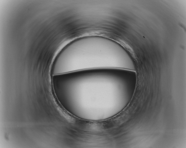 X0000099440792200805090747