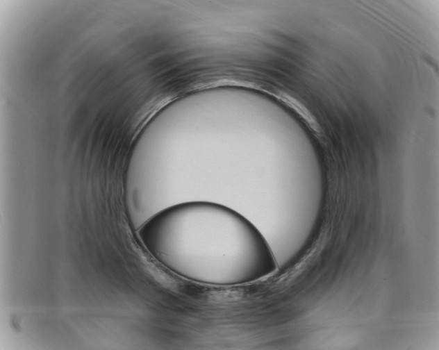 X0000099440793200805090747