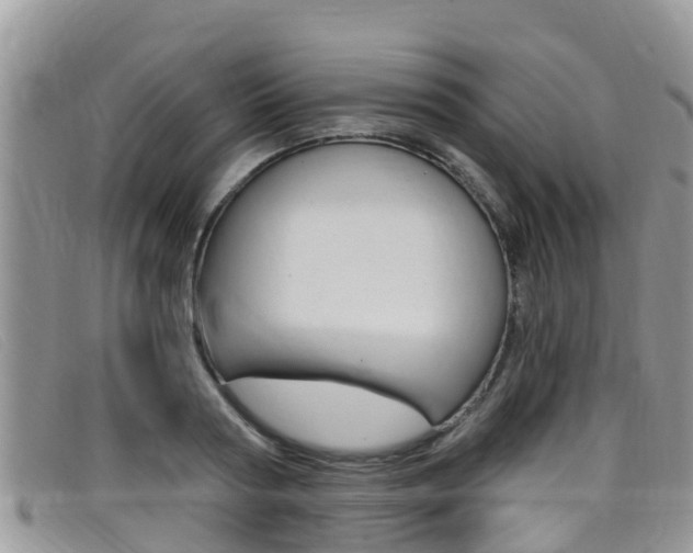 X0000099440794200805090747