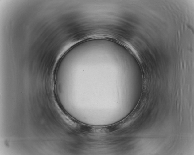 X0000099440795200805090747