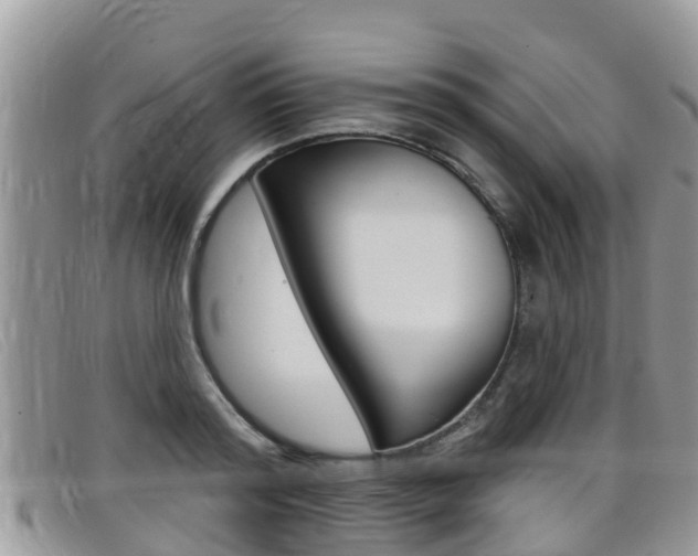 X0000099440796200805090747
