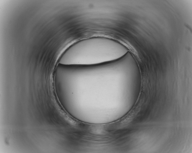 X0000099440798200805090747