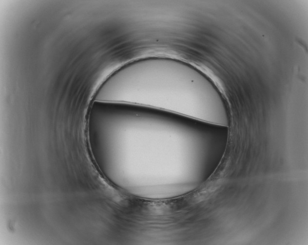 X0000099440799200805090747