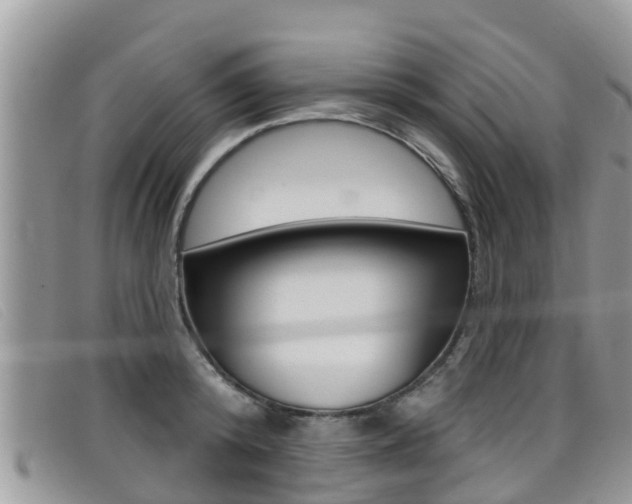 X0000099440800200805090747