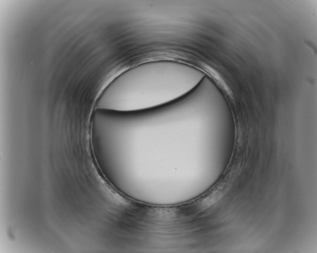 X0000099440802200805090746