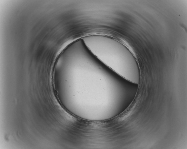 X0000099440803200805090746