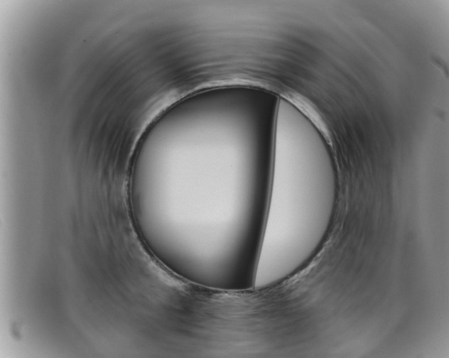 X0000099440805200805090746