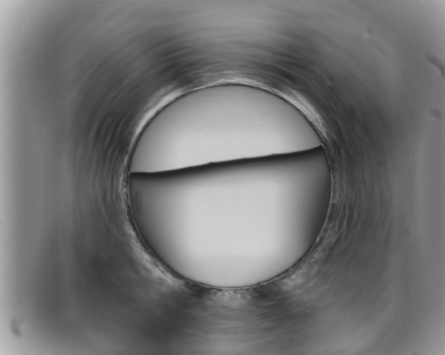 X0000099440806200805090746