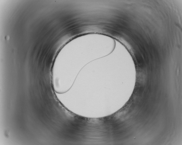 X0000099440807200805090746