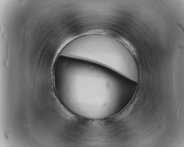X0000099440808200805090746