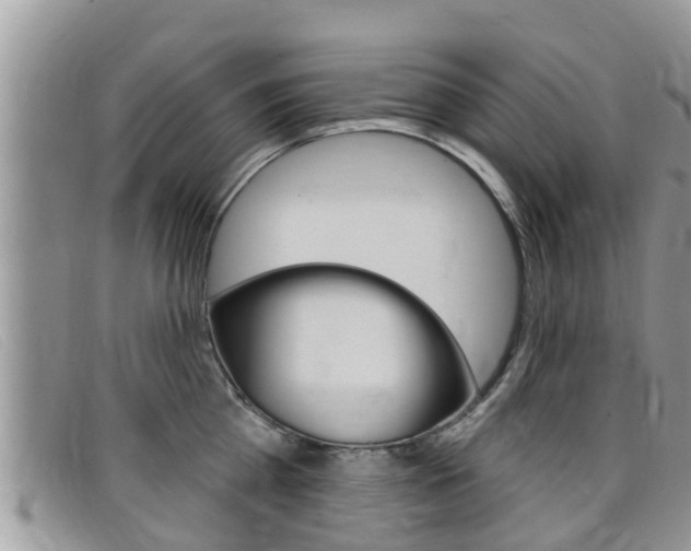 X0000099440809200805090746