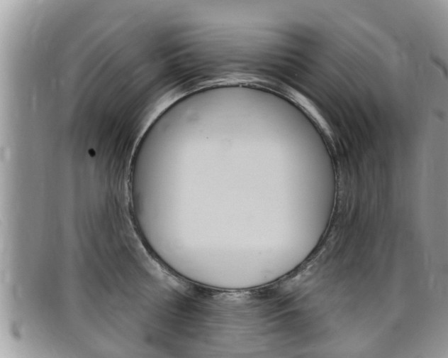 X0000099440810200805090746