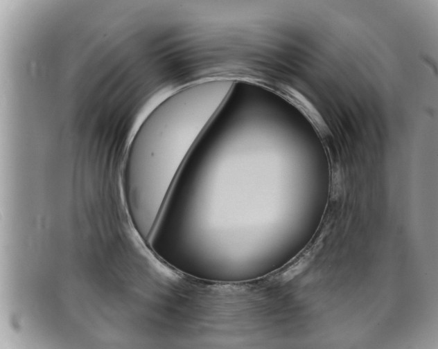 X0000099440812200805090746