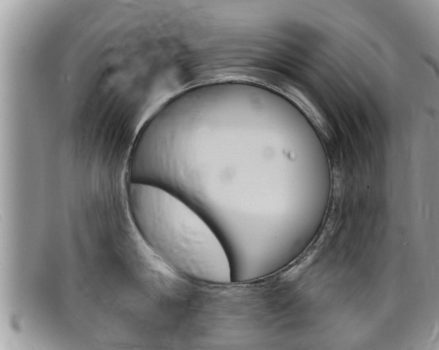 X0000099440814200805090746