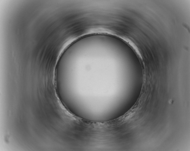 X0000099440815200805090746