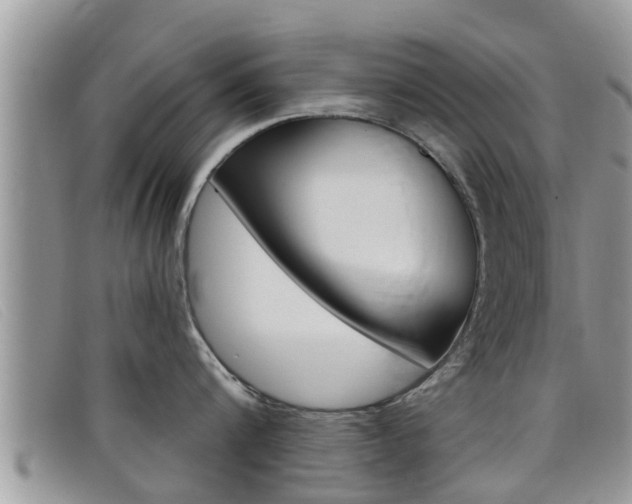 X0000099440816200805090746