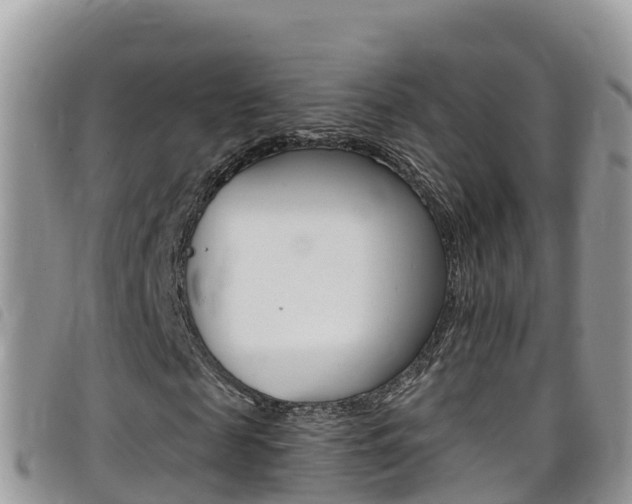 X0000099440817200805090746