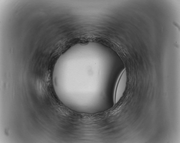 X0000099440818200805090746