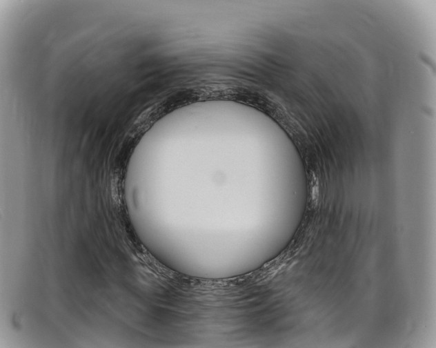 X0000099440819200805090746