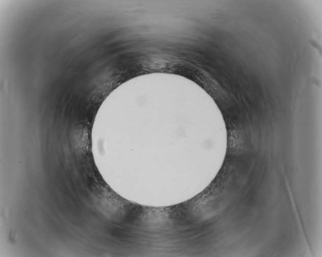 X0000099440820200805090746