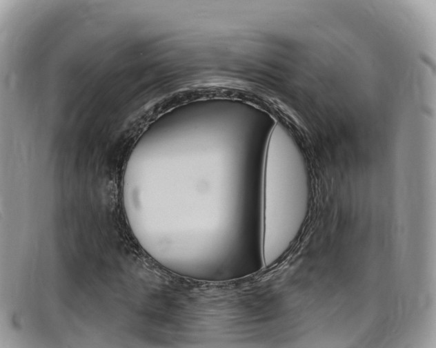 X0000099440821200805090746