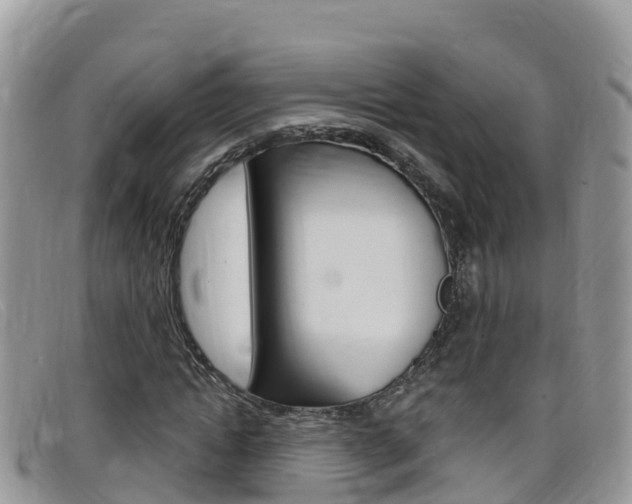 X0000099440822200805090746