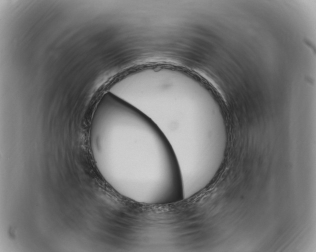 X0000099440823200805090746