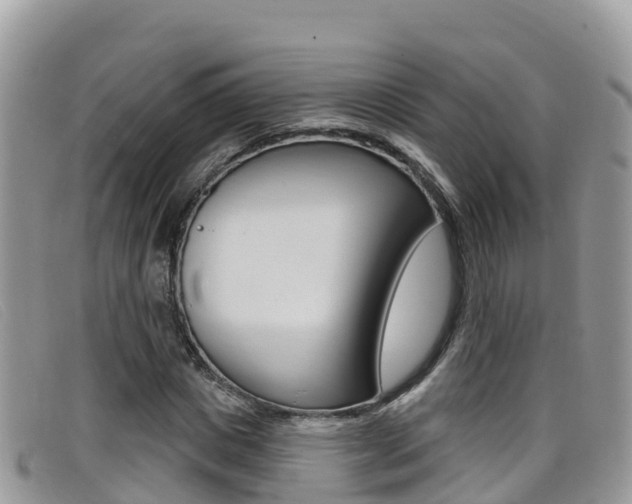 X0000099440825200805090746
