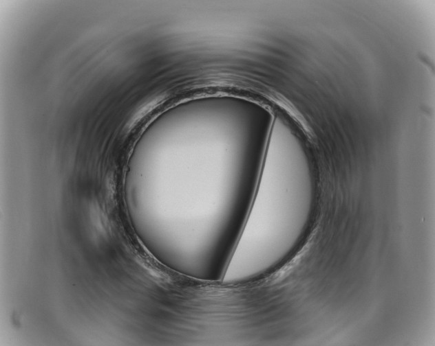 X0000099440826200805090746