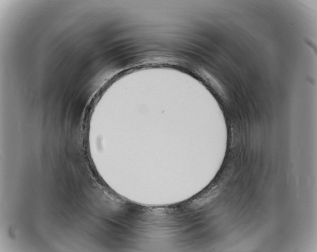 X0000099440828200805090746