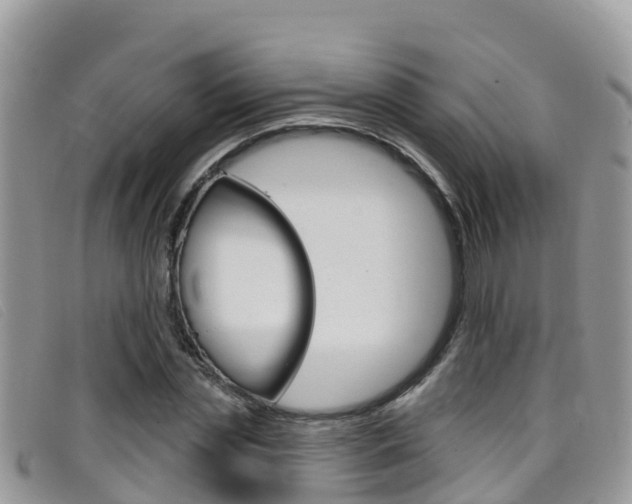 X0000099440829200805090746