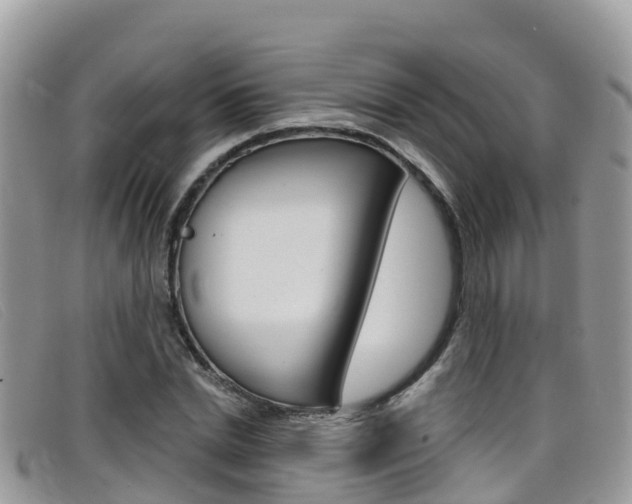 X0000099440830200805090746