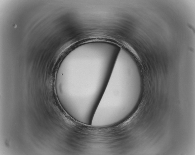 X0000099440831200805090746