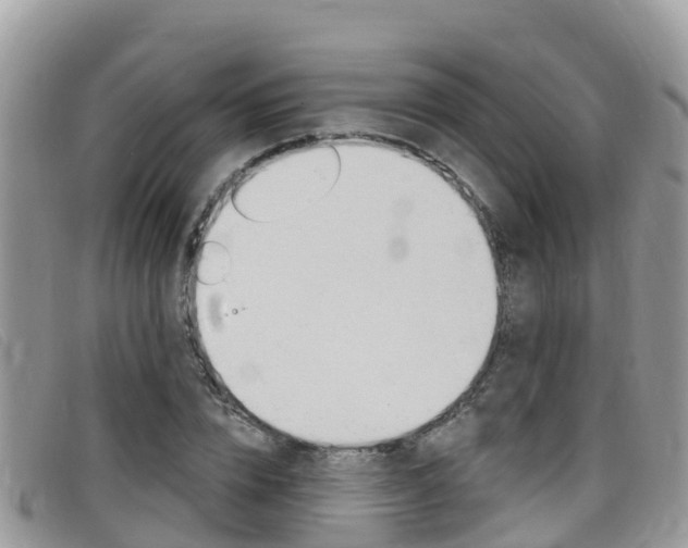 X0000099440832200805090746