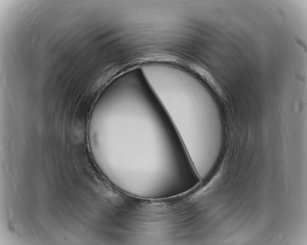 X0000099440833200805090746