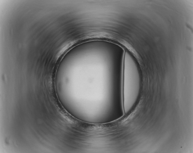 X0000099440834200805090746