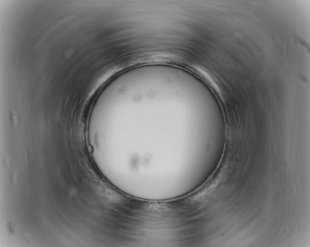 X0000099440835200805090746