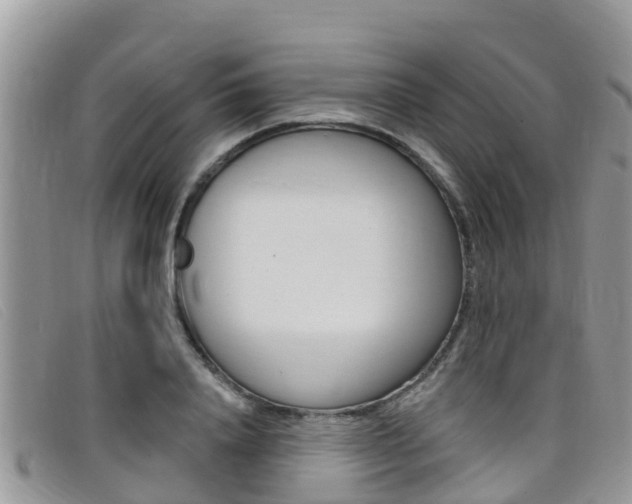 X0000099440840200805090746