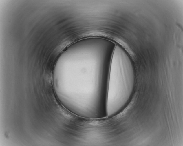 X0000099440841200805090746